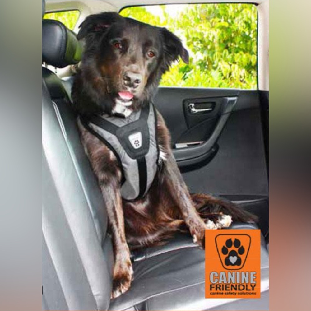 Seat Belt Harness For Dog Size Xl